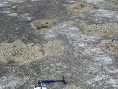Pista di orme di dinosauri a Lama Balice